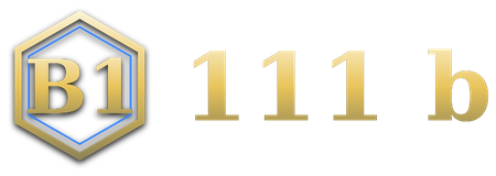 111 b logo